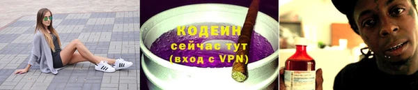 ПСИЛОЦИБИНОВЫЕ ГРИБЫ Горняк